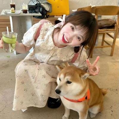 看见第三季